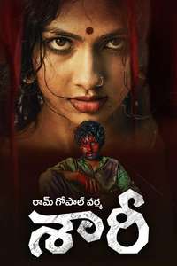 Saaree - Posters