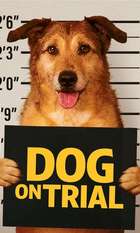 Dog on Trial
