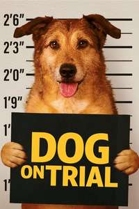Dog on Trial - Posters