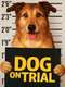 Dog on Trial