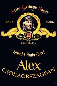 Alex in Wonderland - Posters