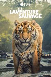 The Wild Ones - Posters