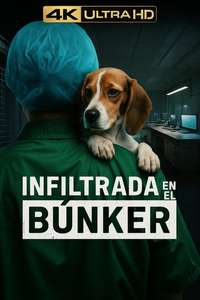 Undercover. Inside the bunker - Posters