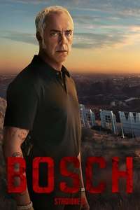 Bosch - Posters