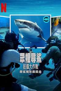 All the Sharks - Posters