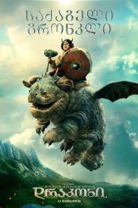 How to Train Your Dragon - Posters