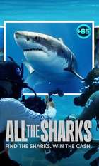 All the Sharks