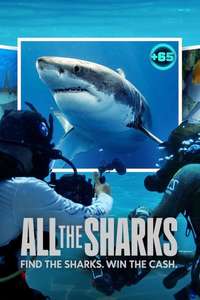 All the Sharks - Posters