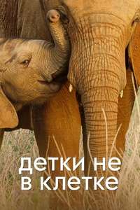 Wild Babies - Posters