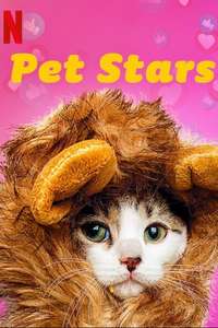 Pet Stars - Posters