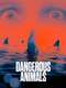 Dangerous Animals
