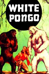 White Pongo - Posters