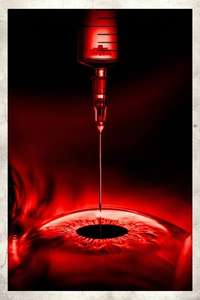 The Home - Posters