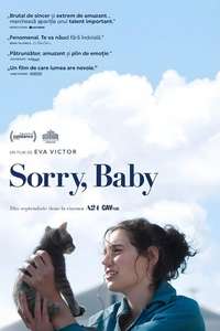 Sorry  Baby - Posters