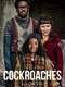 Cockroaches : Season 1