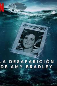 Amy Bradley Is Missing - Posters