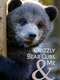 Grizzly Bear Cubs and Me : Season 1