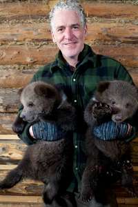 Grizzly Bear Cubs and Me - Posters