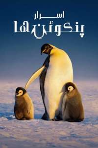 Secrets of the Penguins - Posters