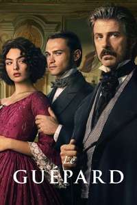 The Leopard - Posters