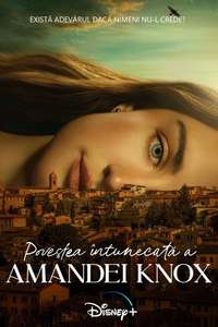 The Twisted Tale of Amanda Knox - Posters