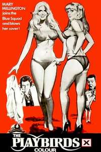 The Playbirds - Posters