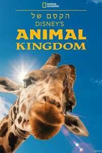 Magic of the Animal Kingdom - Posters