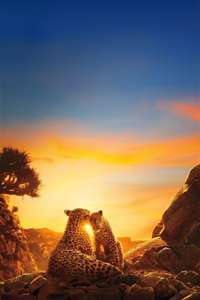 Our Planet - Posters