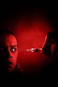 The Home - Posters