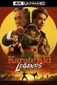 Karate Kid: Legends - Posters
