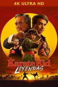 Karate Kid: Legends - Posters