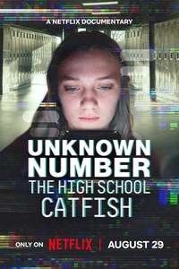 Unknown Number: The High School Catfish - Posters