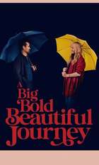 A Big Bold Beautiful Journey