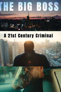 The Big Boss: A 21st Century Criminal - Posters
