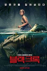 The Bayou - Posters