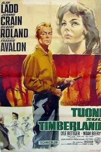 Guns of the Timberland - Posters