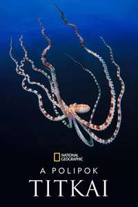 Secrets of the Octopus - Posters