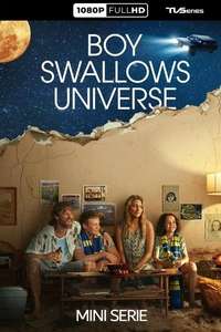 Boy Swallows Universe - Posters