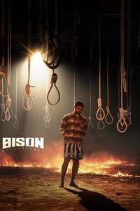 Bison Kaalamaadan - Posters