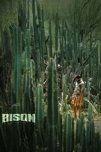Bison Kaalamaadan - Posters