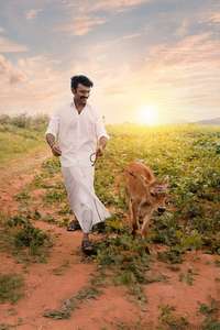 Idli Kadai - Posters