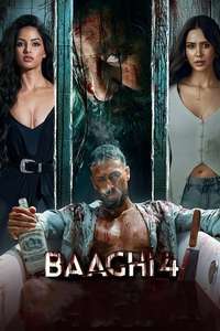 Baaghi 4 - Posters