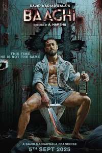 Baaghi 4 - Posters