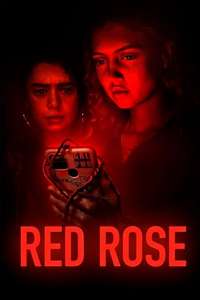Red Rose - Posters