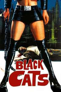 The Black Alley Cats - Posters