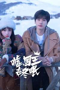 Ski into Love - Posters