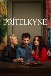 The Girlfriend - Posters