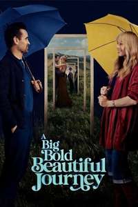 A Big Bold Beautiful Journey - Posters