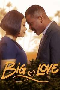 Big Love - Posters