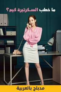 What's Wrong with Secretary Kim - Posters